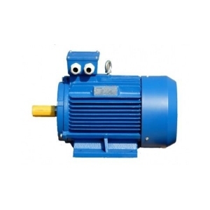 Электродвигатель АИР 100 L2 5,5 кВт